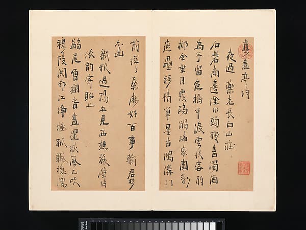 Poems from the Pavilion of True Meaning